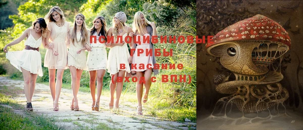 прущие крисы Беломорск