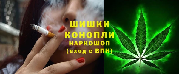 ПСИЛОЦИБИНОВЫЕ ГРИБЫ Белокуриха