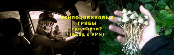ПСИЛОЦИБИНОВЫЕ ГРИБЫ Белокуриха