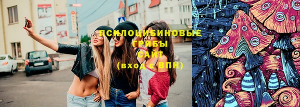 ПСИЛОЦИБИНОВЫЕ ГРИБЫ Белокуриха