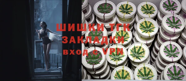 ПСИЛОЦИБИНОВЫЕ ГРИБЫ Белокуриха
