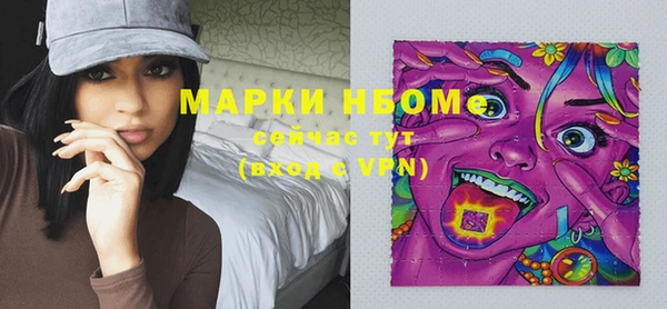 ПСИЛОЦИБИНОВЫЕ ГРИБЫ Белокуриха
