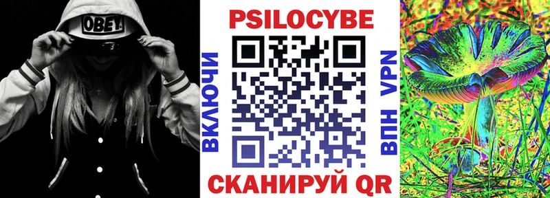 Купить где  Елабуга  Псилоцибиновые грибы GOLDEN TEACHER 