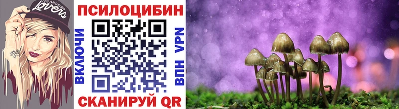 Псилоцибиновые грибы Psilocybine cubensis Елабуга